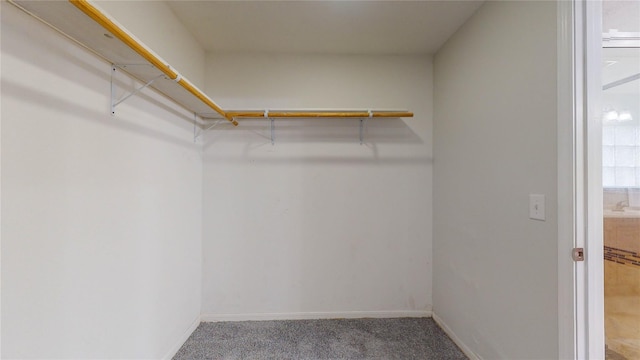 walk in closet featuring carpet flooring