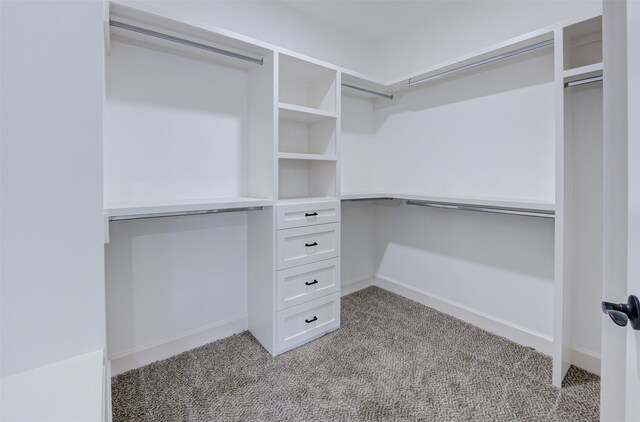 spacious closet featuring light carpet