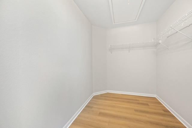 spacious closet with wood-type flooring