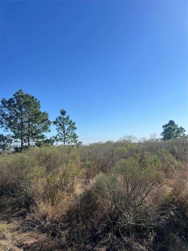 0 Barak Rd, Guy TX, 77444 land for sale