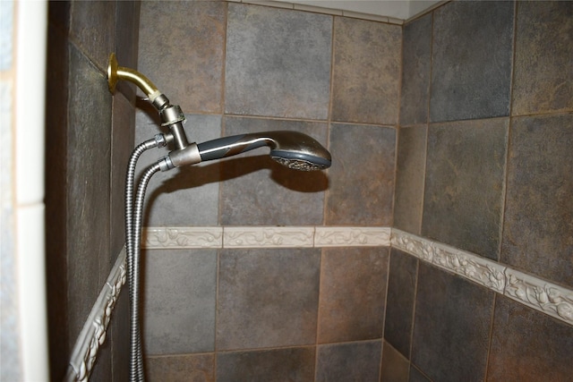 interior details with walk in shower