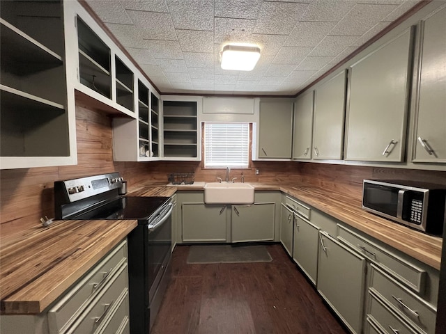 kitchen featuring appliances with stainless steel finishes, sink, dark hardwood / wood-style floors, butcher block counters, and wood walls