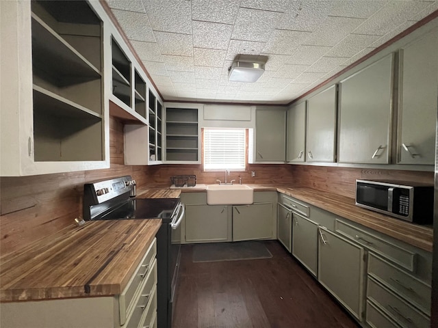 kitchen with sink, stainless steel appliances, wood counters, dark hardwood / wood-style floors, and wooden walls