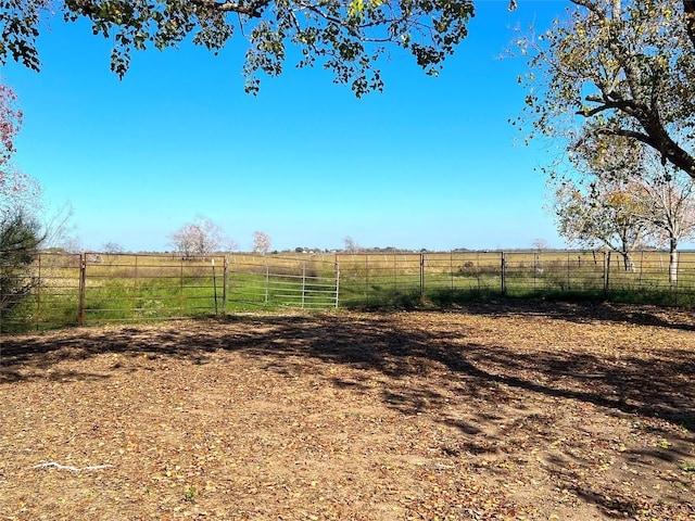 view of yard with a rural view