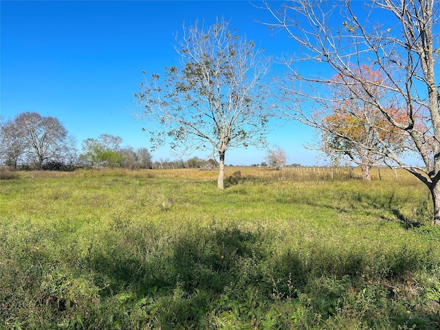 view of nature featuring a rural view