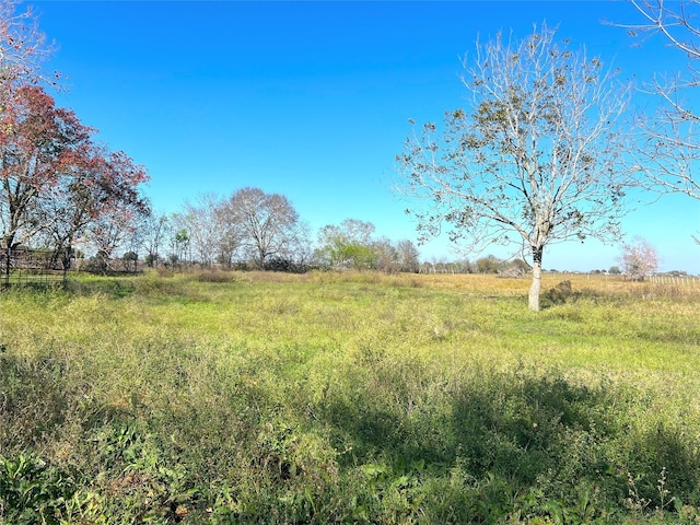 view of landscape featuring a rural view