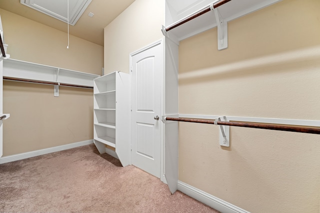 spacious closet featuring attic access and light carpet