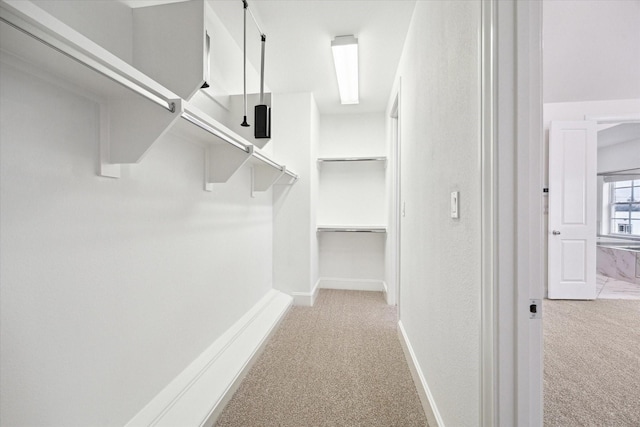 walk in closet with light colored carpet