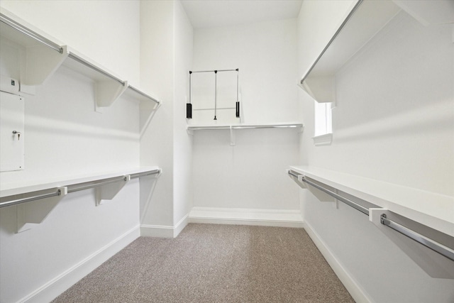 walk in closet with light carpet