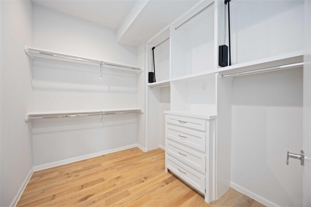 walk in closet with light hardwood / wood-style flooring