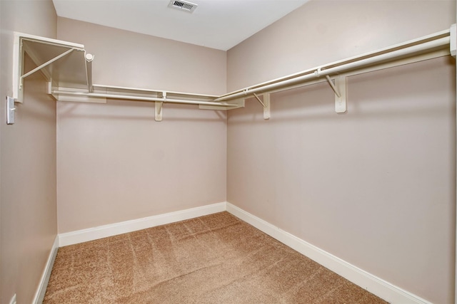 walk in closet with carpet floors