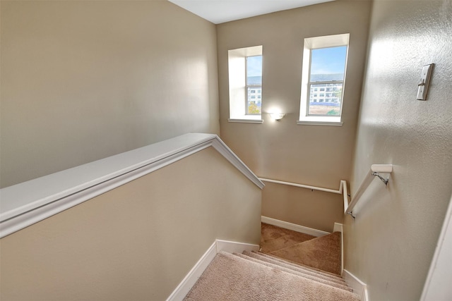 stairs featuring carpet flooring