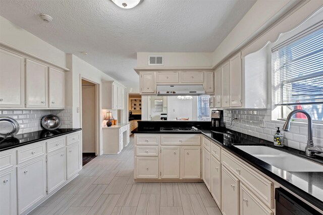 kitchen featuring tasteful backsplash, white cabinetry, sink, and dishwashing machine