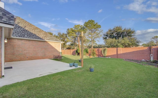 view of yard featuring a patio area