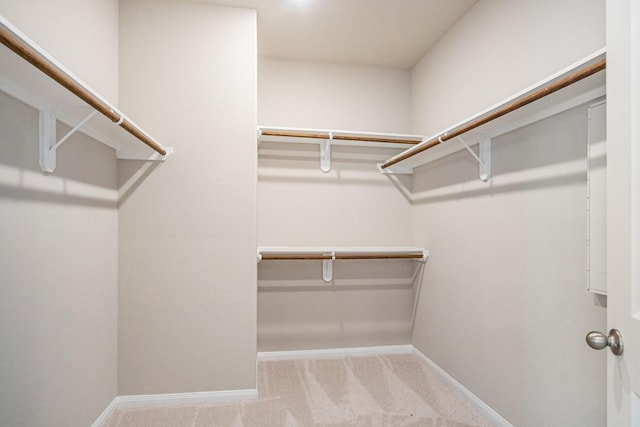 walk in closet featuring light carpet