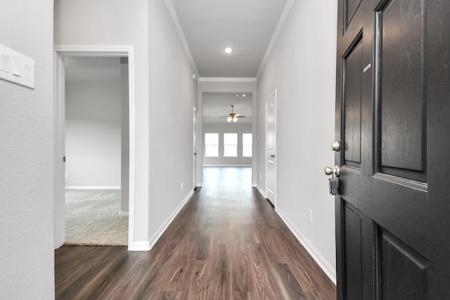 corridor featuring crown molding and dark wood-type flooring