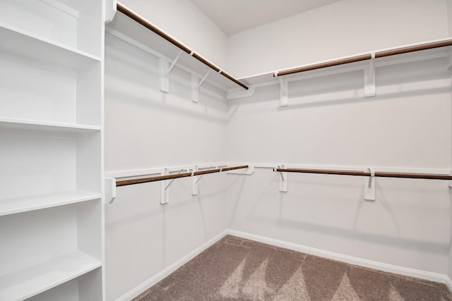 spacious closet with carpet