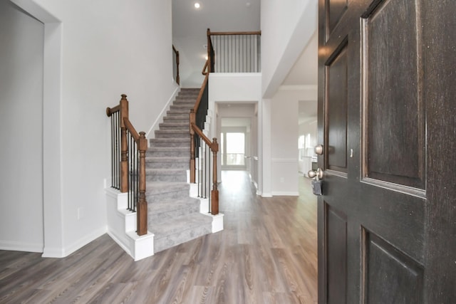 foyer with a towering ceiling and wood-type flooring