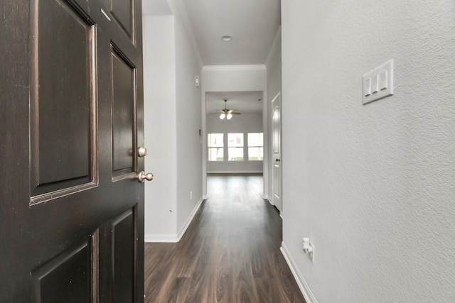 hall featuring crown molding and dark hardwood / wood-style flooring