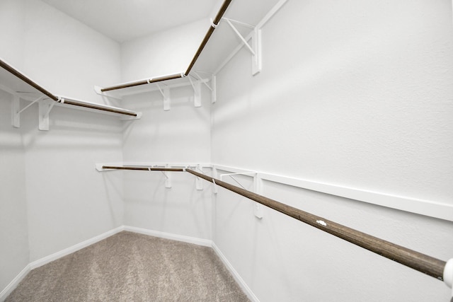 spacious closet with light carpet