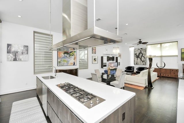 kitchen featuring appliances with stainless steel finishes, dark hardwood / wood-style flooring, sink, and range hood