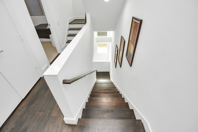 stairway featuring hardwood / wood-style flooring