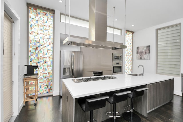 kitchen featuring pendant lighting, sink, an island with sink, appliances with stainless steel finishes, and island exhaust hood