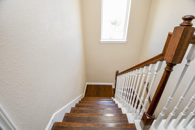 stairway with hardwood / wood-style flooring