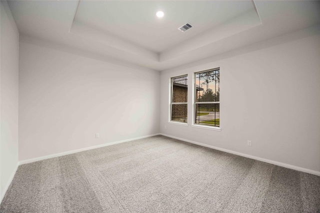 empty room featuring a tray ceiling and carpet floors