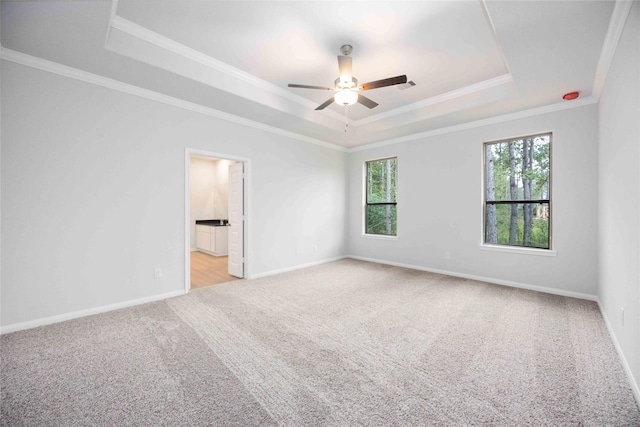 carpeted spare room featuring ceiling fan, a raised ceiling, and crown molding