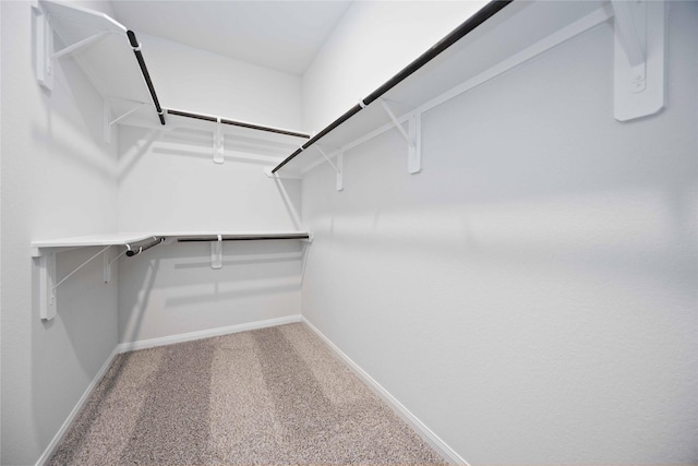 walk in closet with carpet floors