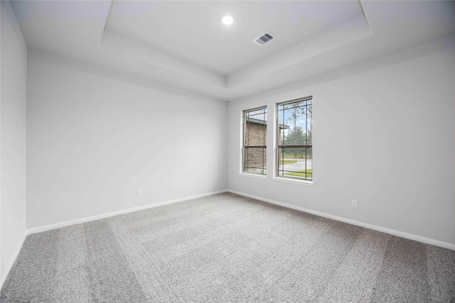 spare room featuring carpet and a raised ceiling