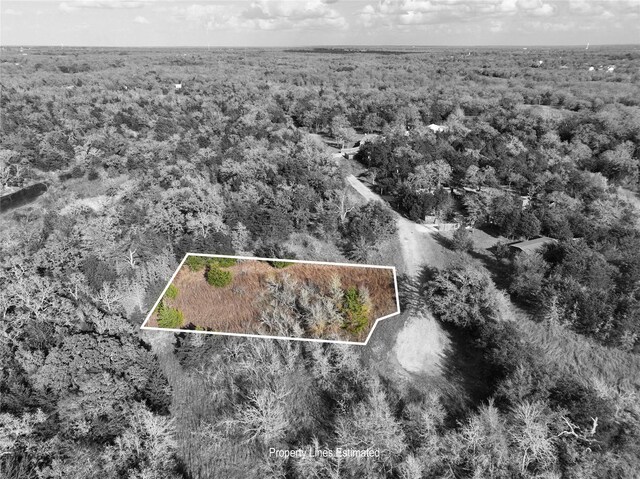 TBD Shoreline Dr, Somerville, TX 77879 - photo 7