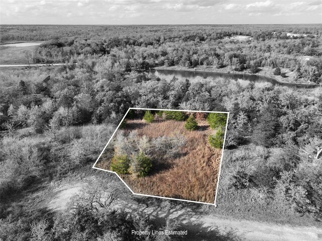 TBD Shoreline Dr, Somerville, TX 77879 - photo 2