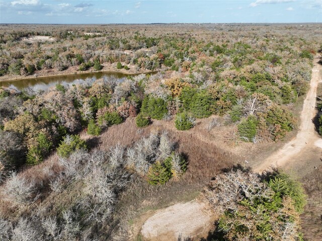 TBD Shoreline Dr, Somerville, TX 77879 - photo 3