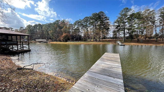 dock area featuring a water view