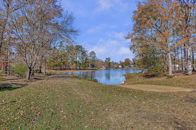 view of water feature