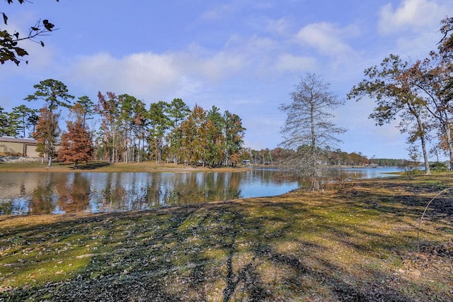 property view of water