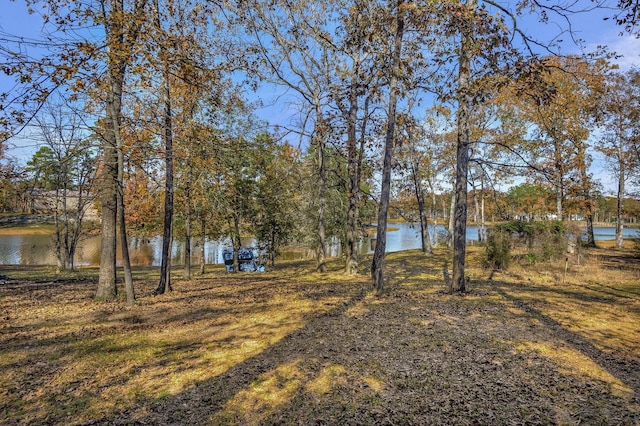 view of yard with a water view