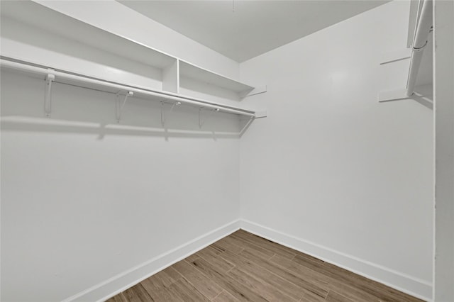 walk in closet with hardwood / wood-style floors