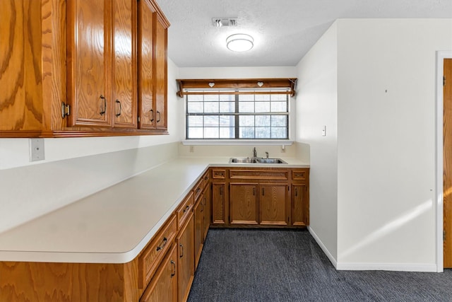 kitchen with sink, a textured ceiling, and dark carpet