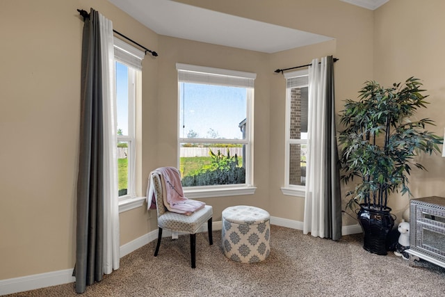 sitting room featuring a wealth of natural light and carpet floors