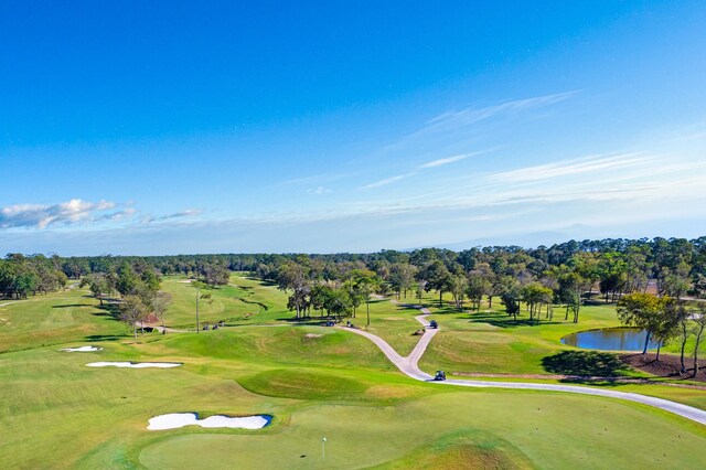11411 Kings Point Blvd, Mont Belvieu, TX 77535 - bird's eye view of a large body of water and a golf course