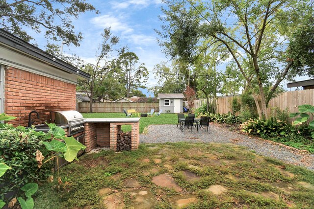 view of yard featuring a storage shed and a patio