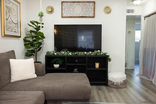 living room with wood-type flooring