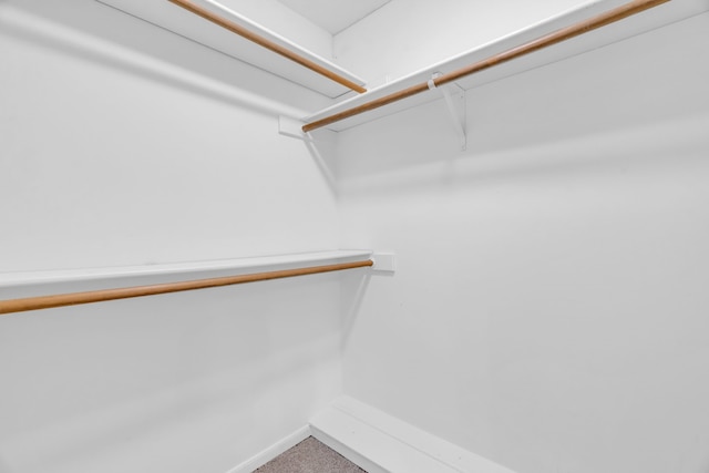 walk in closet with carpet