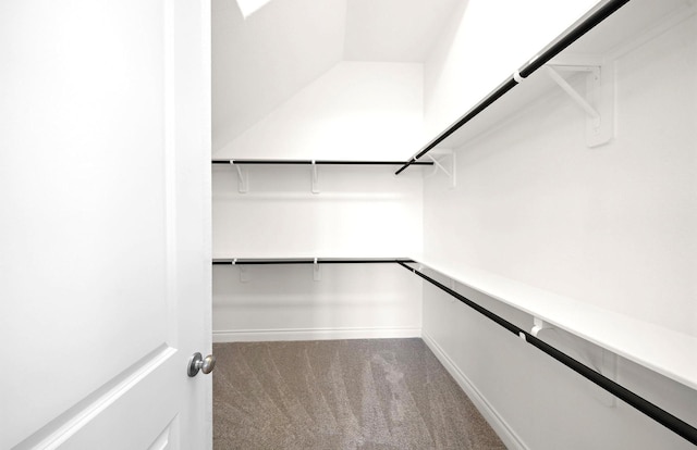 spacious closet with carpet