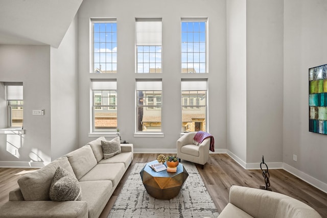 living room featuring hardwood / wood-style floors and a towering ceiling