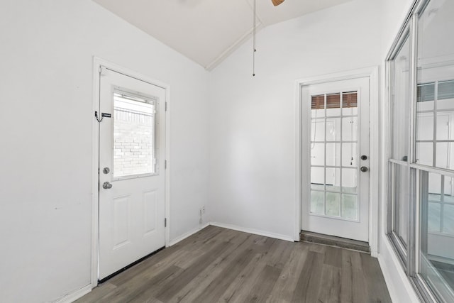 doorway featuring a healthy amount of sunlight, dark wood-type flooring, and vaulted ceiling