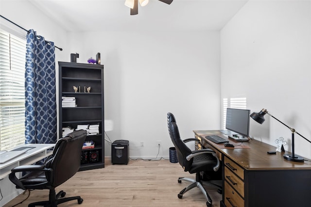 home office featuring ceiling fan, plenty of natural light, and light hardwood / wood-style floors